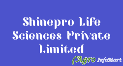 Shinepro Life Sciences Private Limited panchkula india