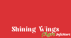 Shining Wings