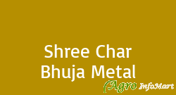 Shree Char Bhuja Metal
