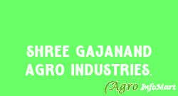 Shree Gajanand Agro Industries. anand india