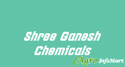 Shree Ganesh Chemicals ahmedabad india