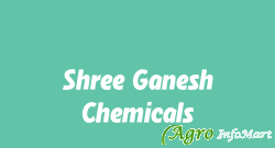 Shree Ganesh Chemicals delhi india