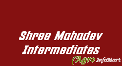 Shree Mahadev Intermediates ankleshwar india