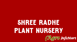 Shree Radhe Plant Nursery