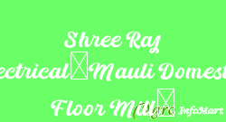 Shree Raj Electrical(Mauli Domestic Floor Mill)