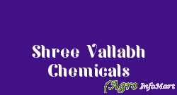 Shree Vallabh Chemicals ahmedabad india