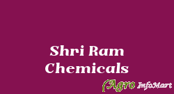 Shri Ram Chemicals vadodara india
