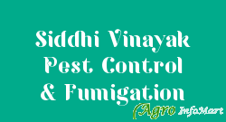 Siddhi Vinayak Pest Control & Fumigation indore india