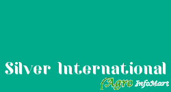 Silver International delhi india