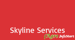 Skyline Services delhi india