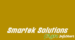 Smartek Solutions delhi india