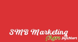 SMB Marketing mumbai india