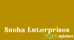 Sneha Enterprises delhi india