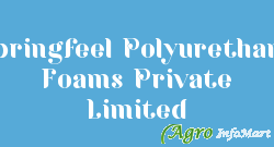 Springfeel Polyurethane Foams Private Limited chennai india