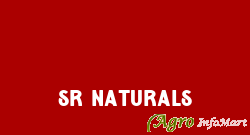 SR Naturals surat india