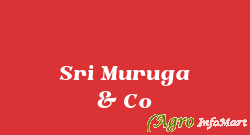 Sri Muruga & Co chennai india