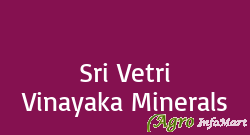 Sri Vetri Vinayaka Minerals namakkal india