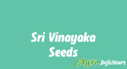 Sri Vinayaka Seeds anantapur india
