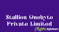 Stallion Onebyte Private Limited thane india