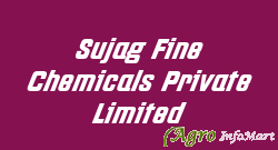 Sujag Fine Chemicals Private Limited vadodara india