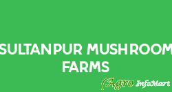 Sultanpur Mushroom Farms sultanpur india