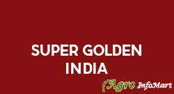 Super Golden India ludhiana india