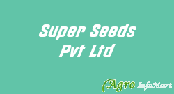 Super Seeds Pvt Ltd  ahmedabad india