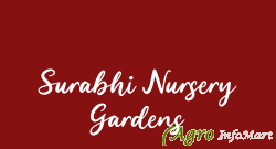 Surabhi Nursery Gardens rajahmundry india