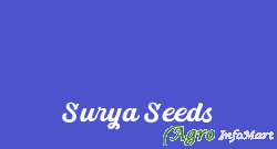 Surya Seeds delhi india