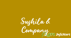 Sushila & Company delhi india