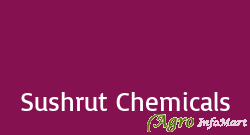 Sushrut Chemicals vadodara india