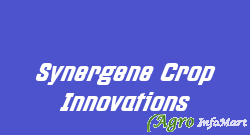 Synergene Crop Innovations hyderabad india