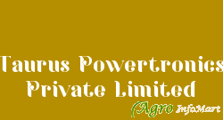 Taurus Powertronics Private Limited