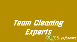 Team Cleaning Experts