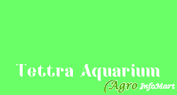 Tettra Aquarium