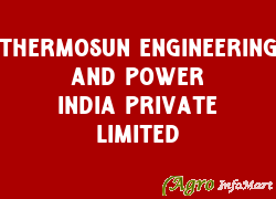 Thermosun Engineering And Power India Private Limited delhi india