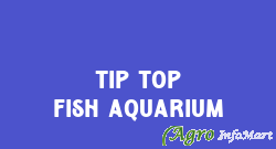 Tip Top Fish Aquarium