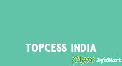 Topcess India delhi india