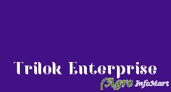 Trilok Enterprise ahmedabad india