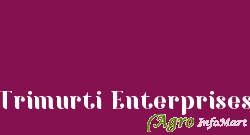 Trimurti Enterprises pune india