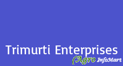 Trimurti Enterprises udaipur india