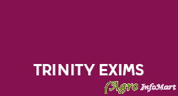Trinity Exims chennai india