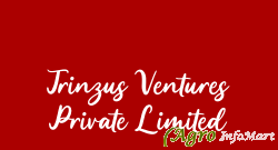 Trinzus Ventures Private Limited