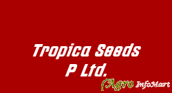 Tropica Seeds P Ltd.