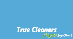 True Cleaners panchkula india