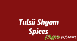 Tulsii Shyam Spices navi mumbai india