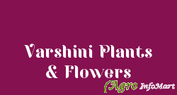 Varshini Plants & Flowers bangalore india
