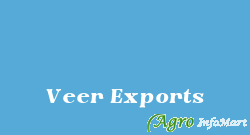 Veer Exports surat india