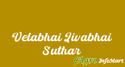 Velabhai Jivabhai Suthar