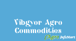 Vibgyor Agro Commodities rajkot india